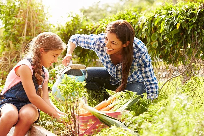 How to Plan Smart Gardening on a Budget: The 2026 Pillar Guide
