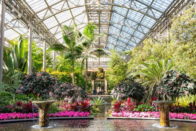 Luxury Smart Gardens USA: The Definitive Guide to High-End Automation