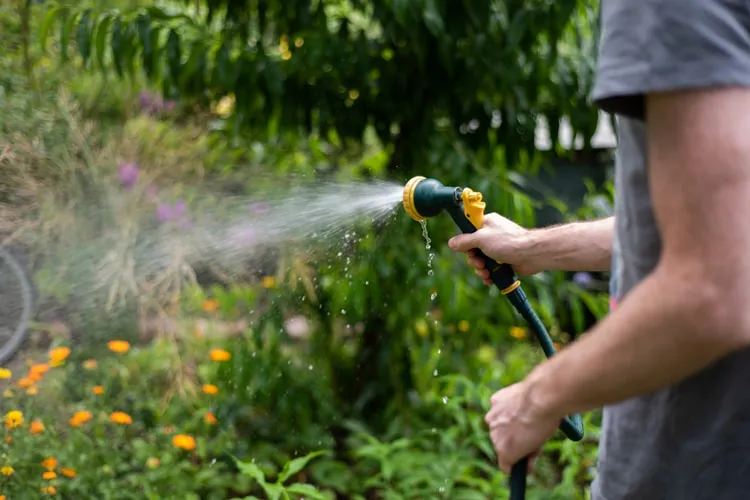 Smart Garden Guide: The 2026 Definitive Reference for Autonomous Landscapes